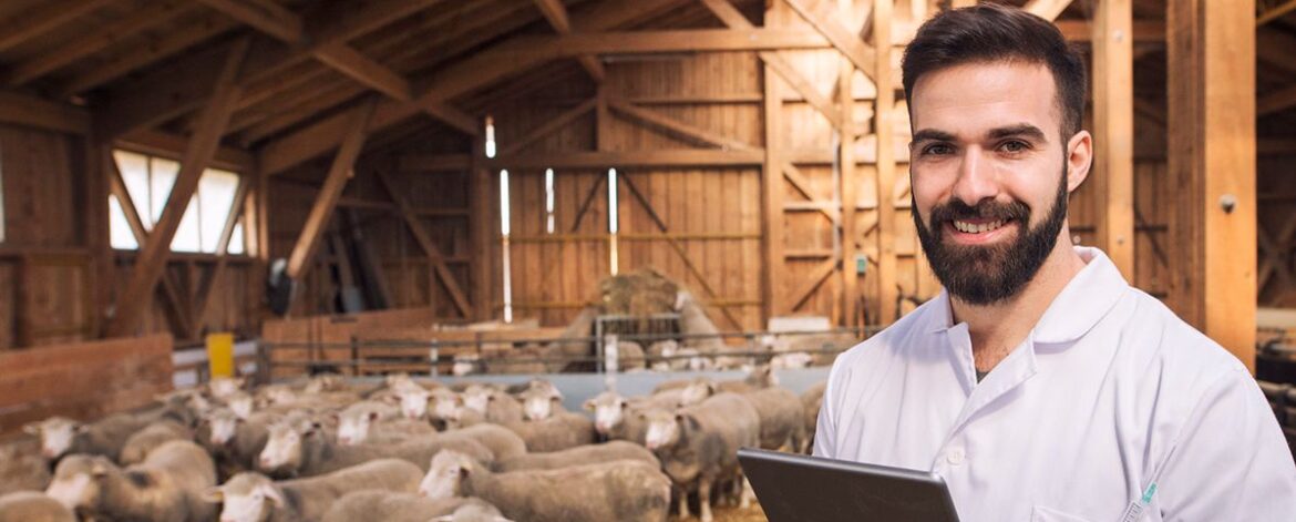 portrait-veterinarian-dressed-white-coat-with-rubber-gloves-standing-sheep-domestic-farm-edited-scaled portrait-veterinarian-dressed-white-coat-with-rubber-gloves-standing-sheep-domestic-farm-edited-scaled